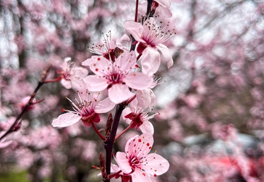 23-03-17 13-28-28 4908